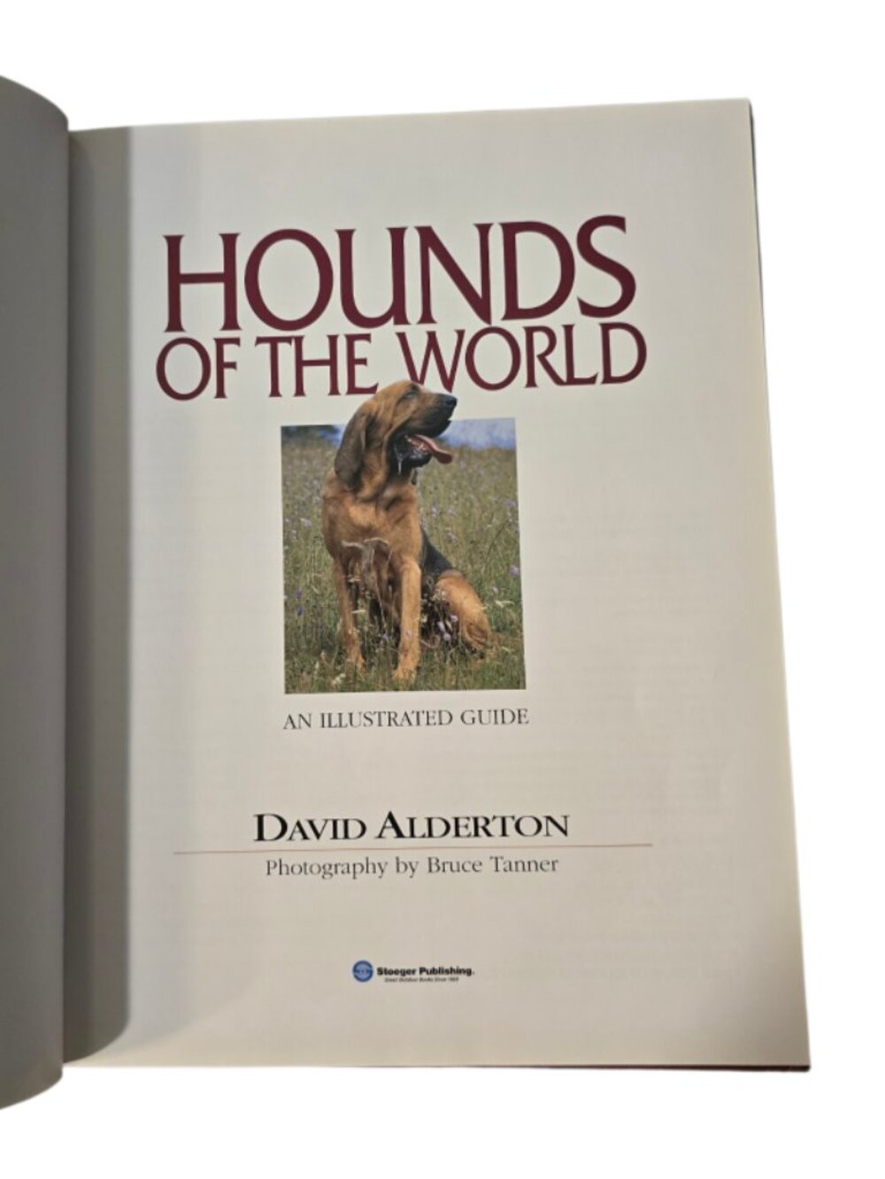 Hounds of the World David Alderton Vintage HC 2002 Illustrated Dog Breed Guide